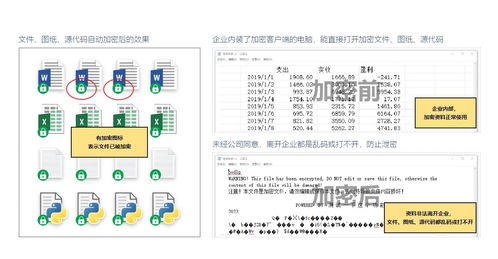 2024年五款常用企业加密软件排行榜 智能安全软件盘点